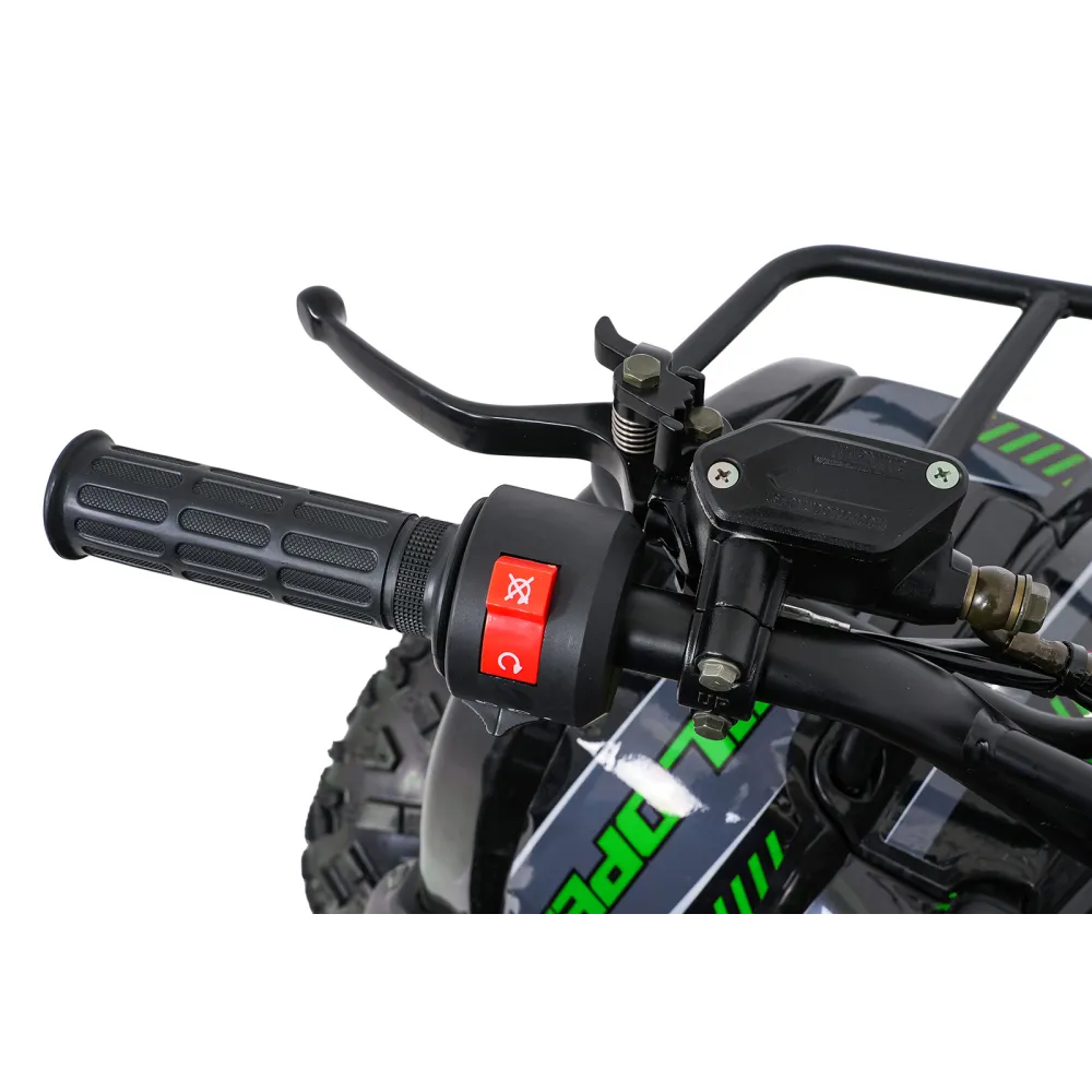 Variklinis keturratis motociklas „WILDPEAK“ 110 cm³, žalias-Elektromobiliai vaikams, Keturračiai ir bagiai-e-vaikas
