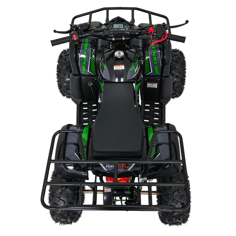Variklinis keturratis motociklas „WILDPEAK“ 110 cm³, žalias-Elektromobiliai vaikams, Keturračiai ir bagiai-e-vaikas