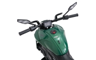 Pojazd Motor Ducati Diavel x Bentley Zielony