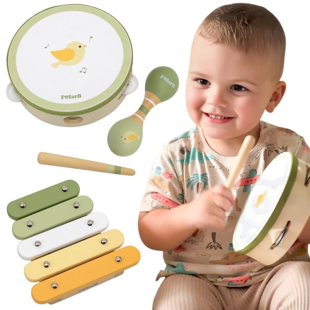 Muzikos instrumentų rinkinys su paukščiu VIGA PolarB