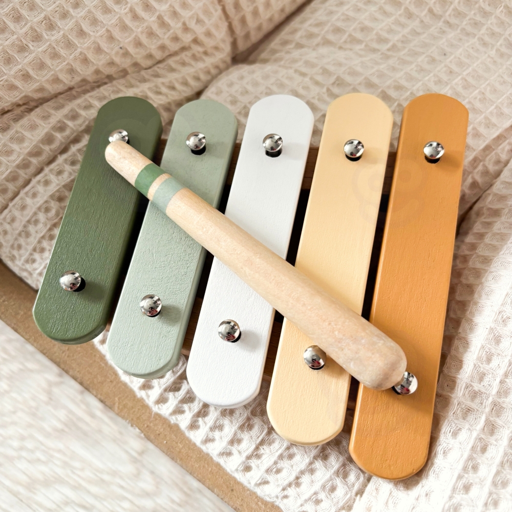 Muzikos instrumentų rinkinys su paukščiu VIGA PolarB