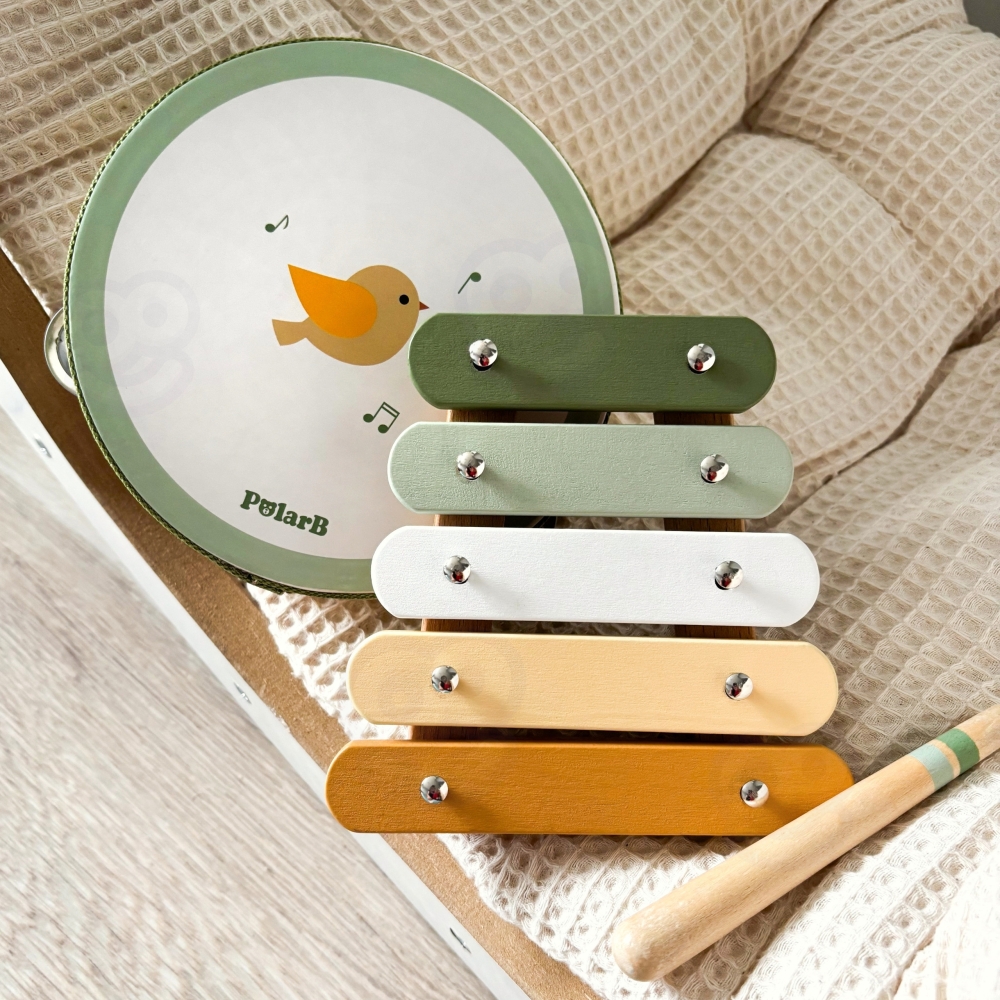 Muzikos instrumentų rinkinys su paukščiu VIGA PolarB