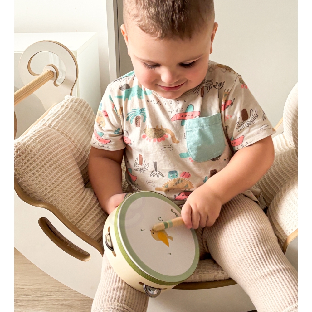 Muzikos instrumentų rinkinys su paukščiu VIGA PolarB