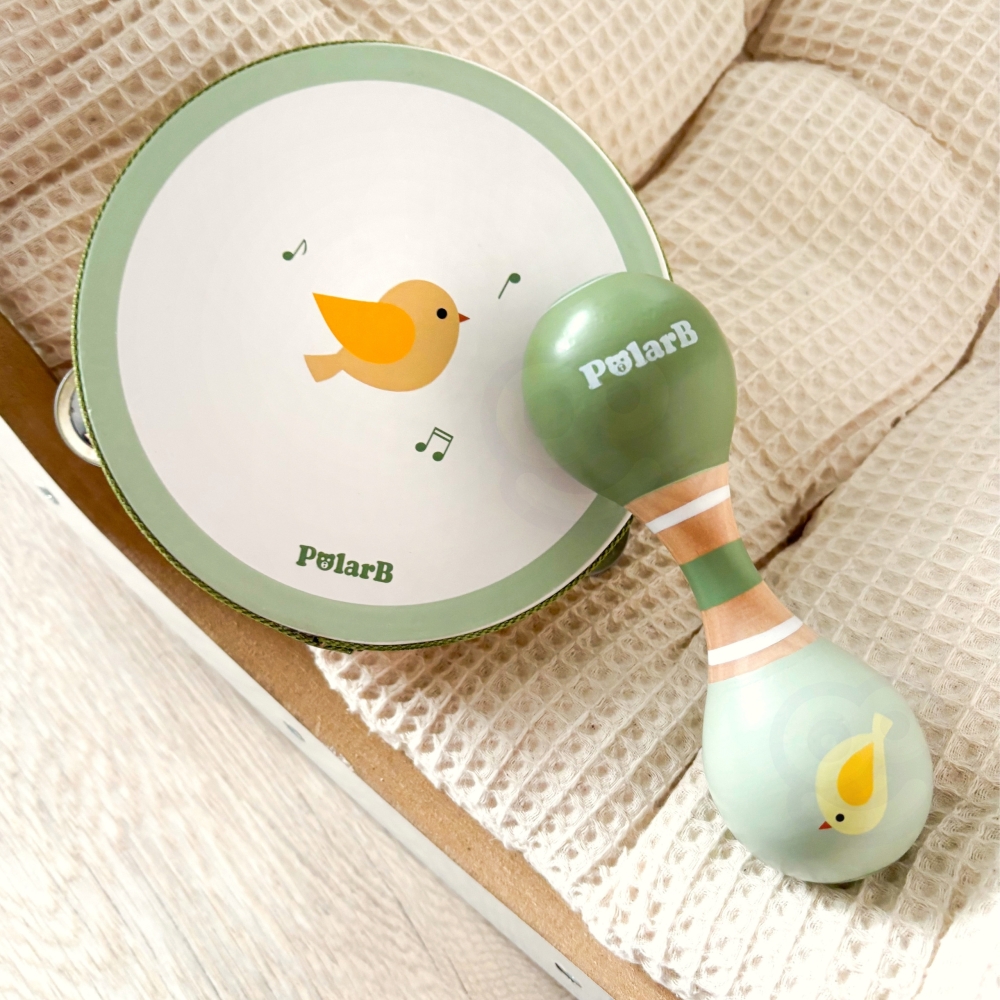 Muzikos instrumentų rinkinys su paukščiu VIGA PolarB