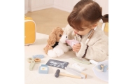 VIGA PolarB Pet Care Kit – Little Veterinarian