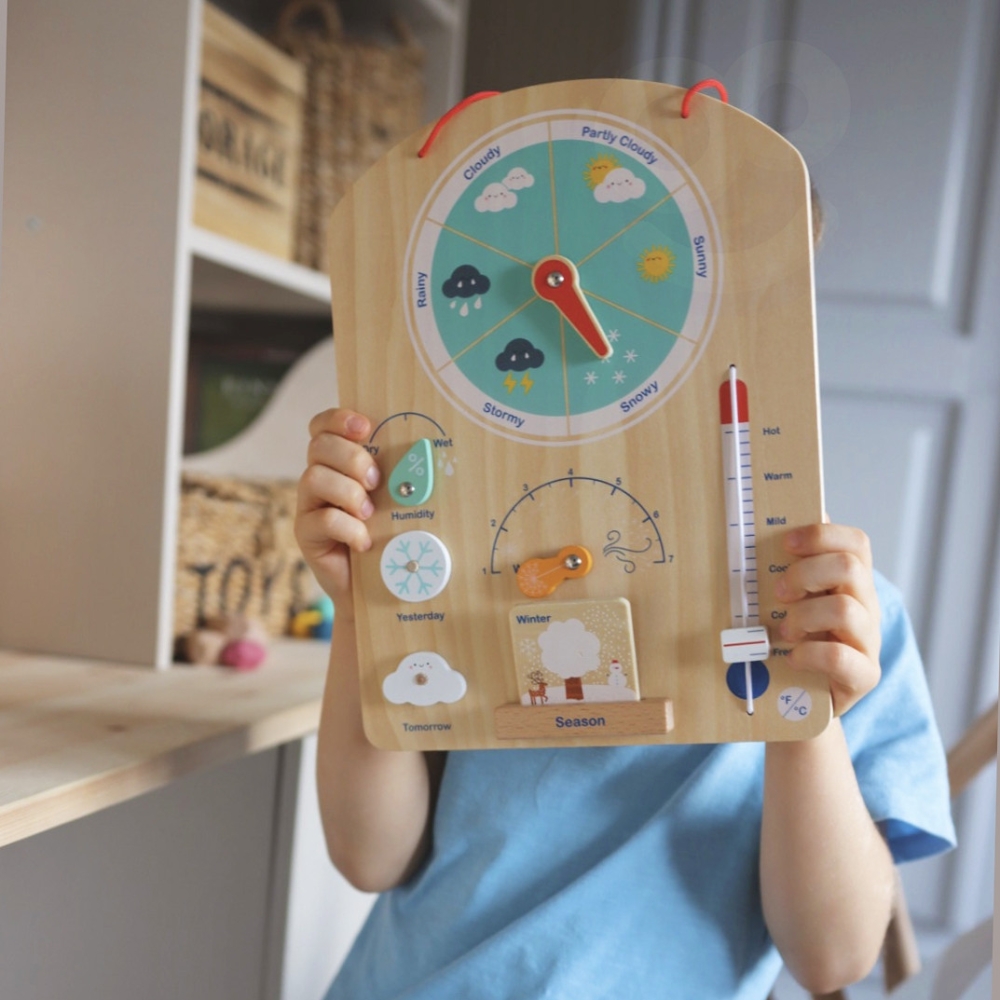 Edukaciniai žaislai Montessori Montessori Weatherboard 6in1 nuo 3 metų