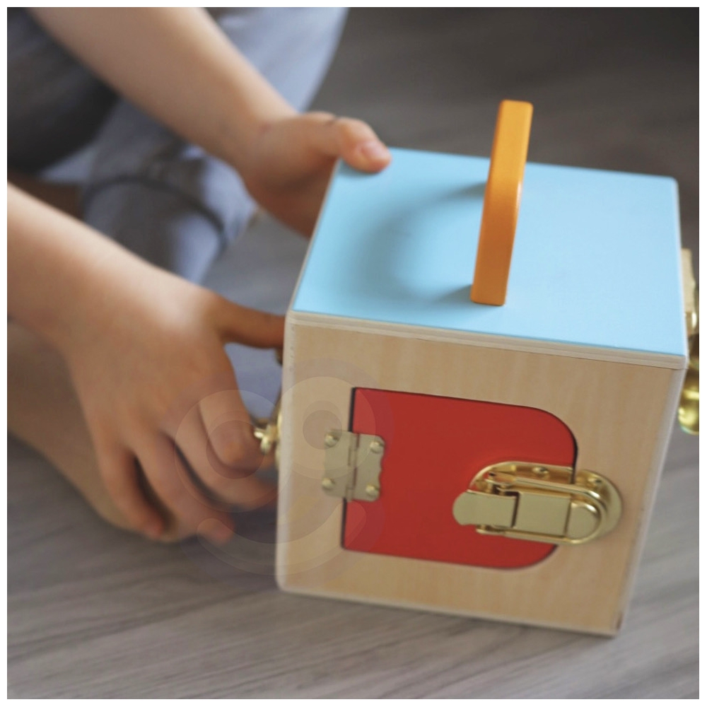 Edukaciniai žaislai Montessori Montessori Weatherboard 6in1 nuo 3 metų