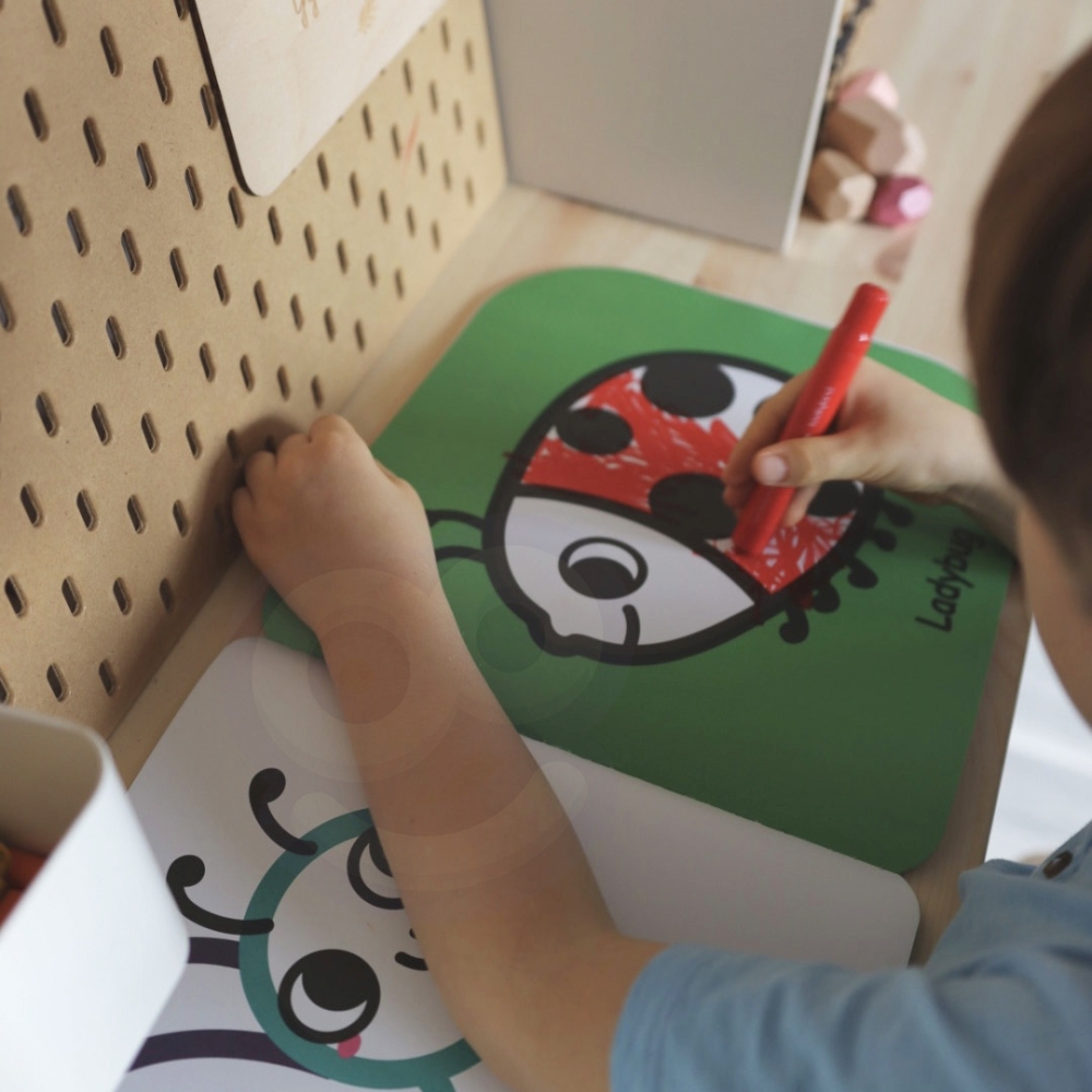 Edukaciniai žaislai Montessori Montessori Weatherboard 6in1 nuo 3 metų