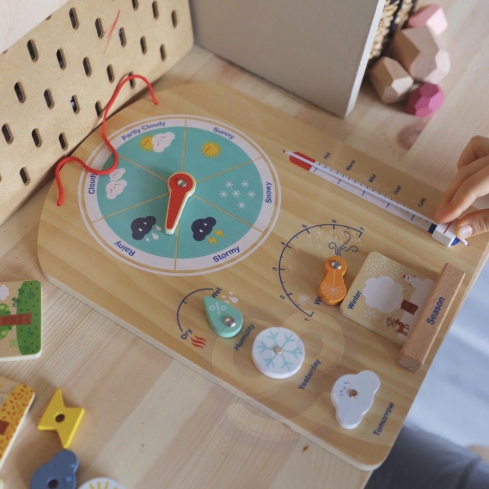 Edukaciniai žaislai Montessori Montessori Weatherboard 6in1 nuo 3 metų