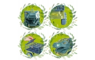 WOOPIE Dinosaur Truck Transporter Figures