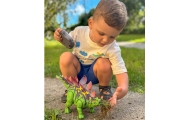 WOOPIE Remote Controlled RC Dinosaur Robot Stegosaurus					