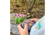WOOPIE Remote Controlled RC Dinosaur Robot Stegosaurus					