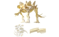 WOOPIE Kūrybinis žaislas Dinozauro skeletas Archeologiniai kasinėjimai