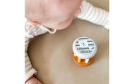 VIGA PolarB Wooden Rattle with Animal