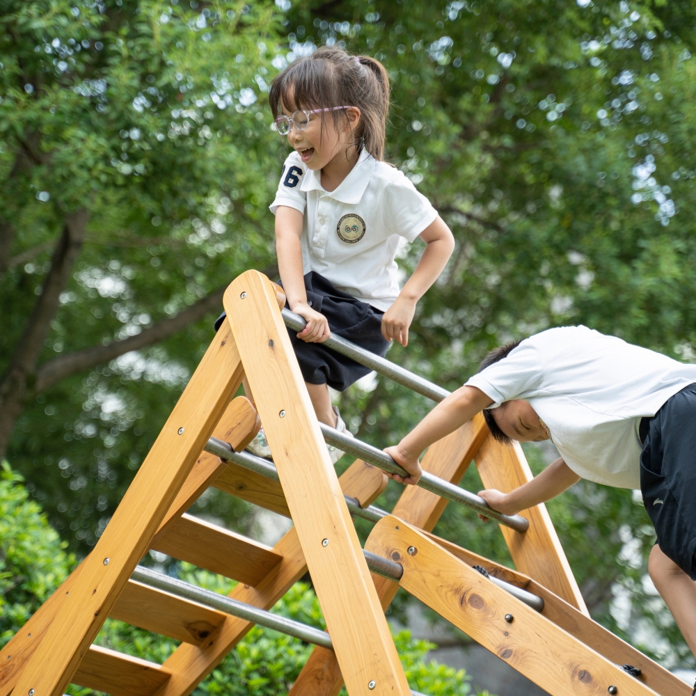 Medinė žaidimų aikštelė CLASSIC WORLD EDU XL Montessori laipiojimo kopėčių rinkinys