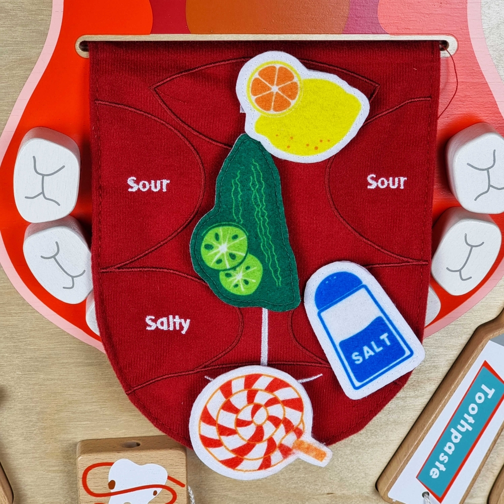 Sensorinė sieninė lenta - Burnos higiena Flex MASTERKIDZ Montessori