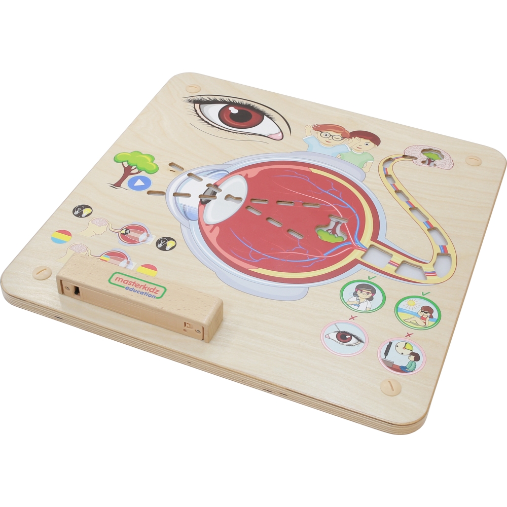 Mokomoji lenta - Regėjimo pojūtis MASTERKIDZ Montessori
