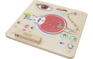 Mokomoji lenta - Regėjimo pojūtis MASTERKIDZ Montessori
