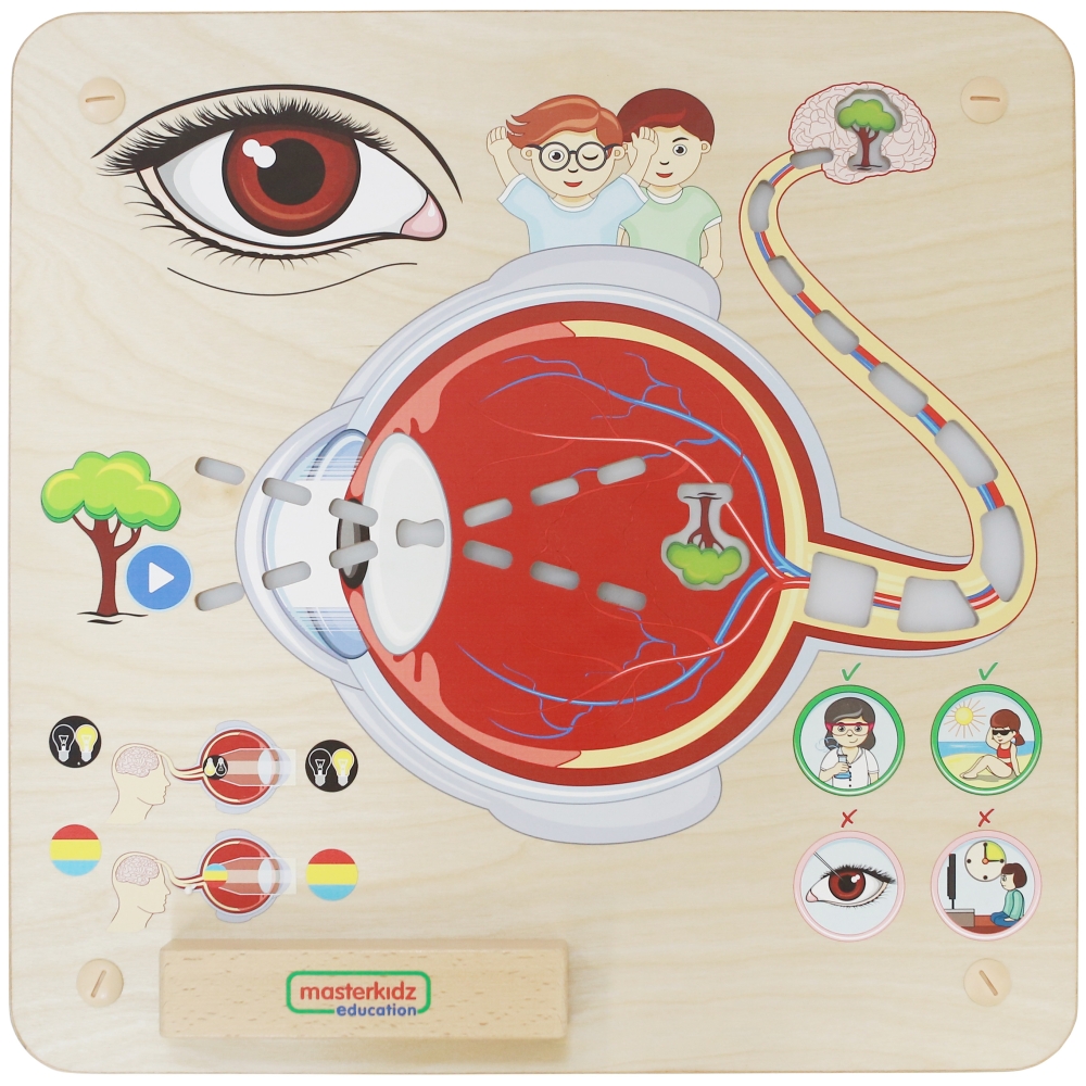 Mokomoji lenta - Regėjimo pojūtis MASTERKIDZ Montessori