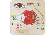 Mokomoji lenta - Regėjimo pojūtis MASTERKIDZ Montessori