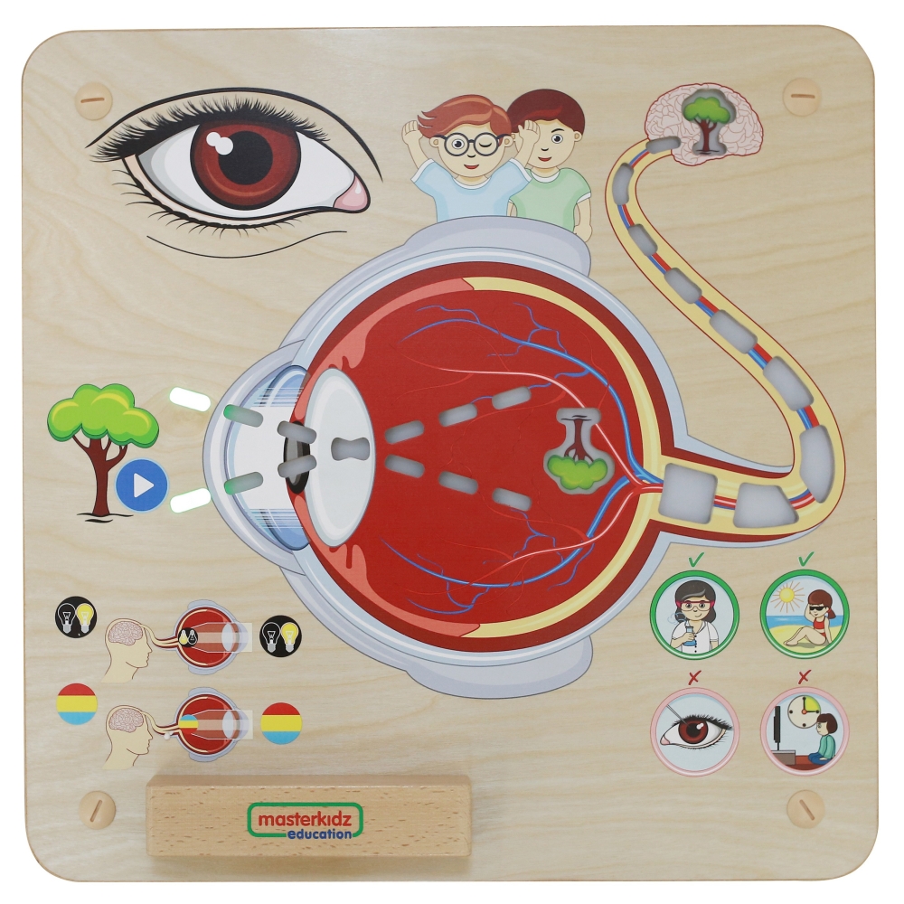 Mokomoji lenta - Regėjimo pojūtis MASTERKIDZ Montessori