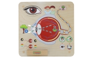 Mokomoji lenta - Regėjimo pojūtis MASTERKIDZ Montessori