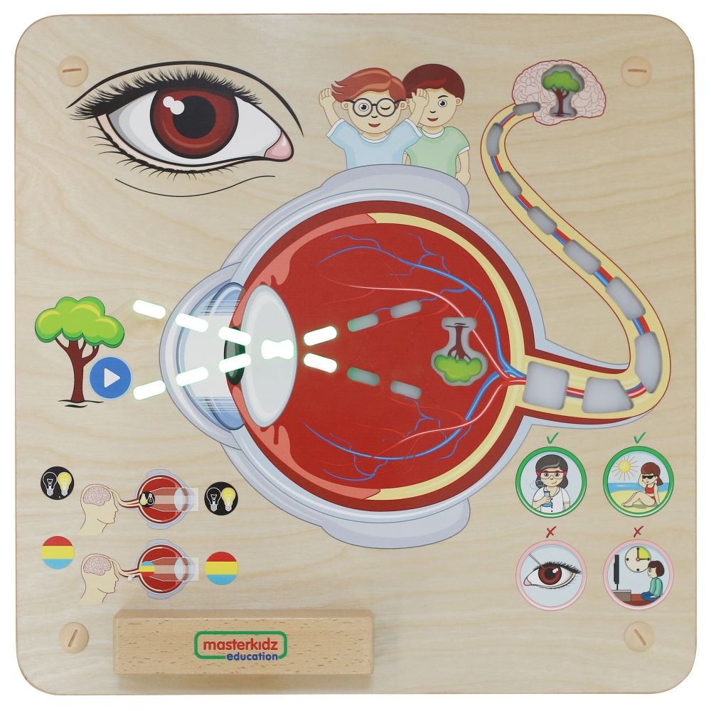 Mokomoji lenta - Regėjimo pojūtis MASTERKIDZ Montessori