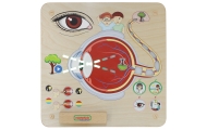 MASTERKIDZ Tablica Edukacyjna Zmysł Wzroku Montessori