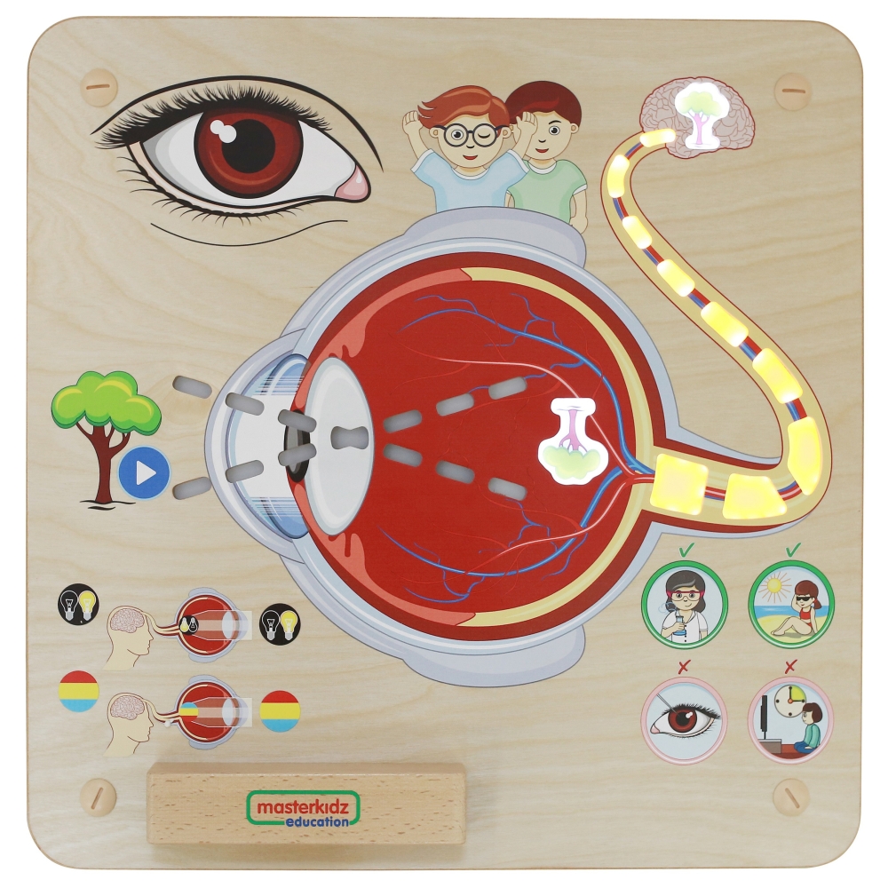 Mokomoji lenta - Regėjimo pojūtis MASTERKIDZ Montessori