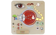 Mokomoji lenta - Regėjimo pojūtis MASTERKIDZ Montessori