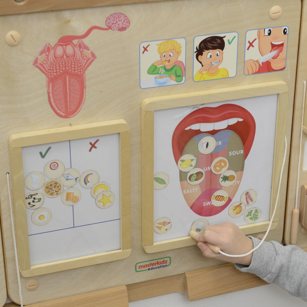 MASTERKIDZ Montessori "Regėjimo pojūtis" Mokomoji lenta