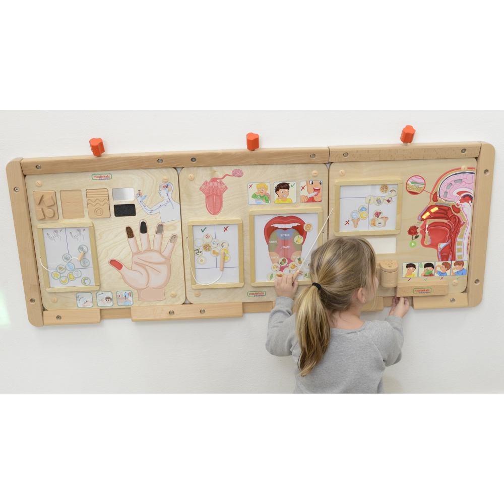 MASTERKIDZ Montessori "Regėjimo pojūtis" Mokomoji lenta