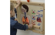 MASTERKIDZ Tablica Edukacyjna Układ Oddechowy Montessori