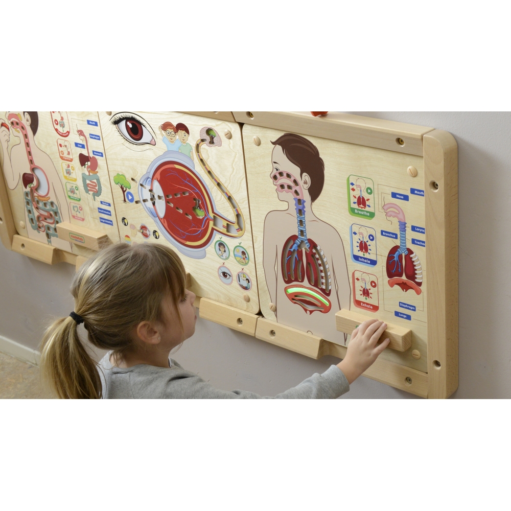 Kvėpavimo sistemos mokomoji lenta MASTERKIDZ Montessori
