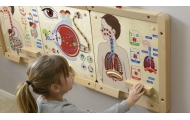 MASTERKIDZ Tablica Edukacyjna Układ Oddechowy Montessori