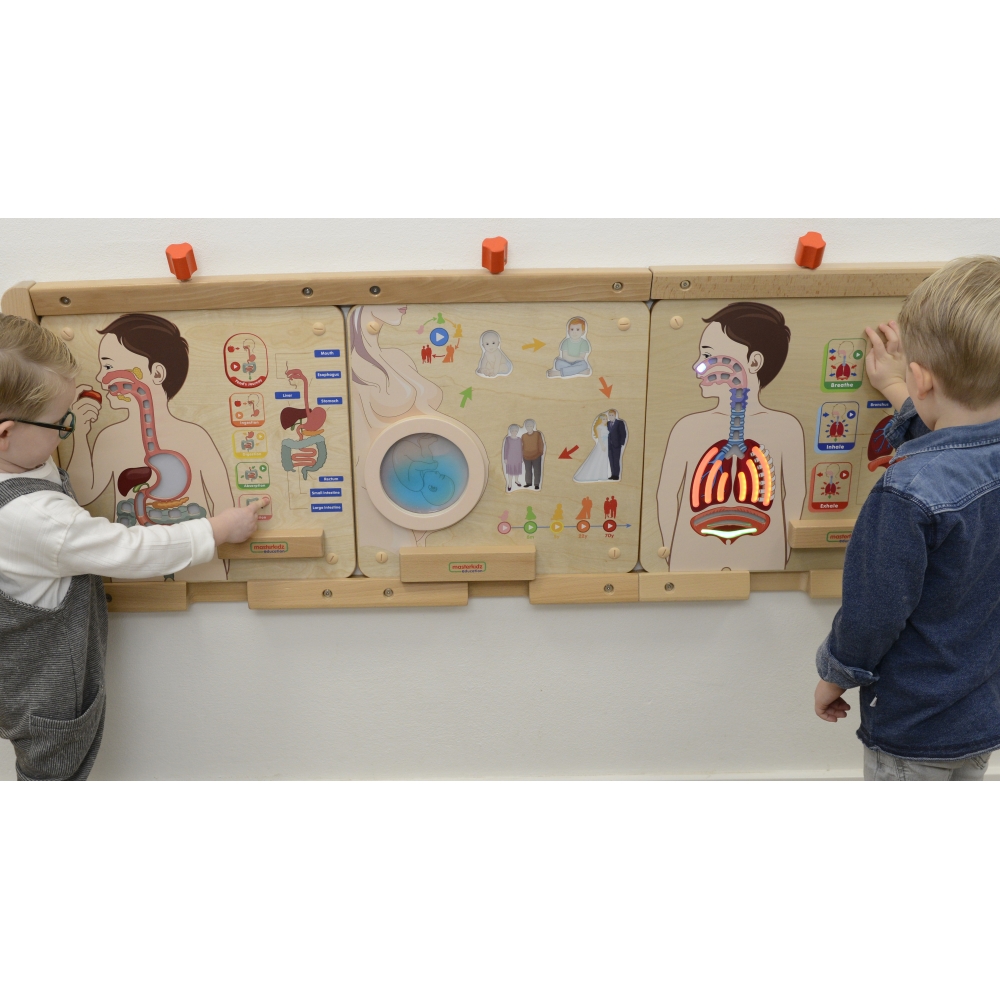 Kvėpavimo sistemos mokomoji lenta MASTERKIDZ Montessori