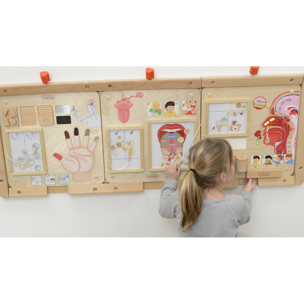 Mokomoji lenta - Kvapų pojūtis MASTERKIDZ Montessori