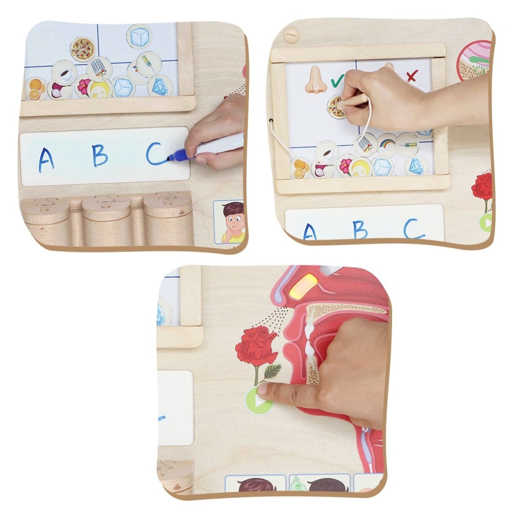 Mokomoji lenta - Kvapų pojūtis MASTERKIDZ Montessori