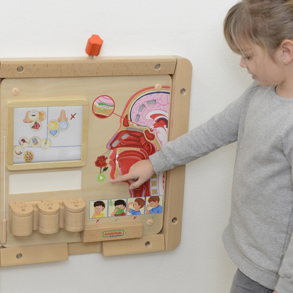 Mokomoji lenta - Kvapų pojūtis MASTERKIDZ Montessori