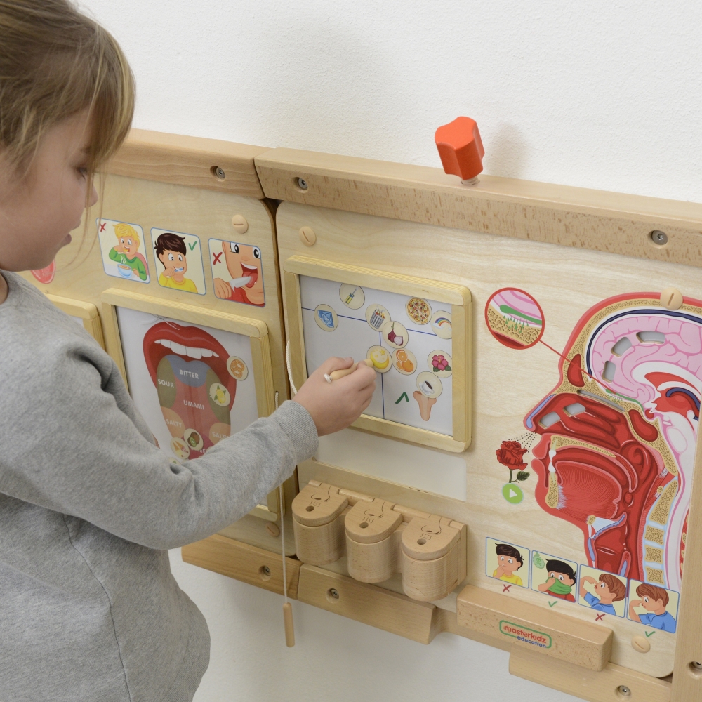 Mokomoji lenta - Kvapų pojūtis MASTERKIDZ Montessori