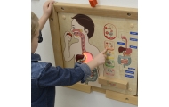 Mokomoji lenta Virškinimo sistema MASTERKIDZ Montessori-Žaislai, Lavinamieji žaislai, Veiklos centrai-e-vaikas
