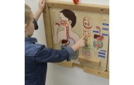 Mokomoji lenta Virškinimo sistema MASTERKIDZ Montessori-Žaislai, Lavinamieji žaislai, Veiklos centrai-e-vaikas
