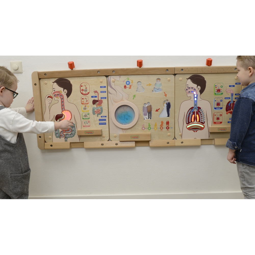 Mokomoji lenta Virškinimo sistema MASTERKIDZ Montessori-Žaislai, Lavinamieji žaislai, Veiklos centrai-e-vaikas