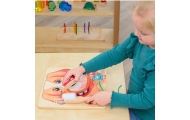Edukacinė sieninė lenta - Sveikos burnos higienos mokymasis su šuniuku Montessori MASTERKIDZ