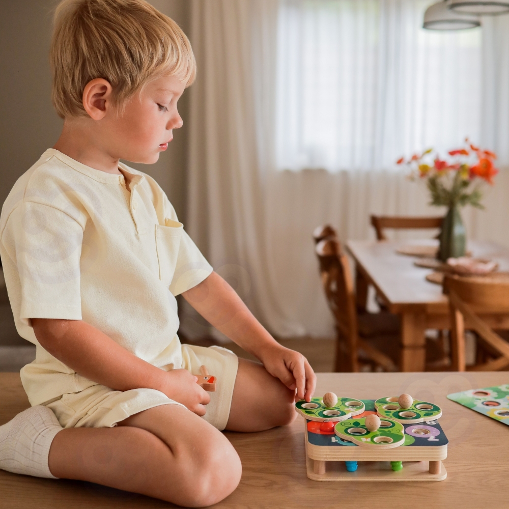 Medinis magnetinis žaidimas Paukštis ir kirminai TOOKY TOY