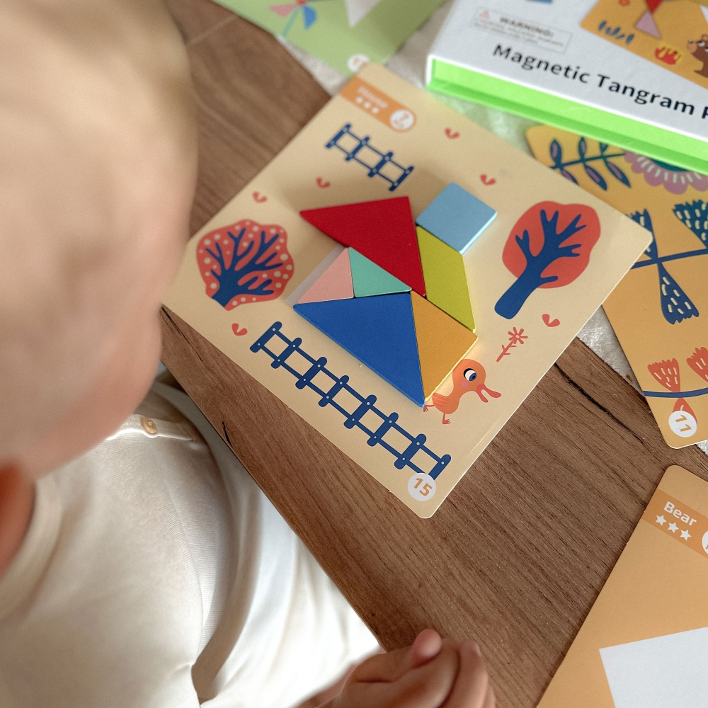 Dėlionė Tangram TOOKY TOY Mokymosi formos 18el.-Žaislai, Lavinamieji žaislai, Dėlionės, Dėlionės patiems mažiausiems, Mokomieji 