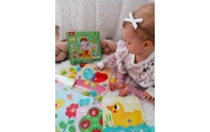 TOOKY TOY Układanka Klocki dla Dzieci Zwierzęta Dopasuj Nauka Kształtów Kolorów + Plansze
