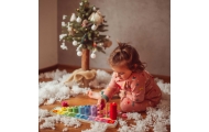 WOOPIE GREEN Montessori mokymosi dėlionės skaičiavimui ir spalvoms 56 el.