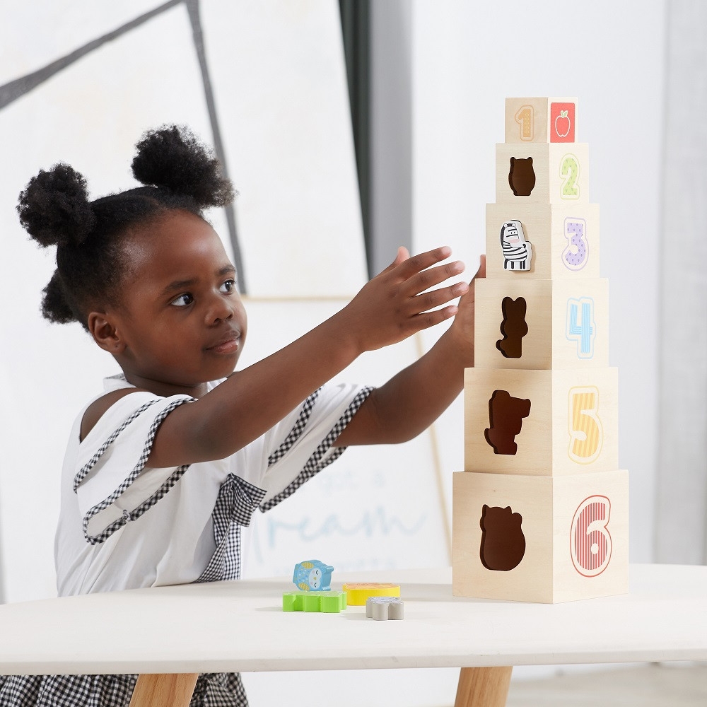 Medinė piramidės formos dėlionė blokai-rūšiuotojas pagal Montessori metodiką-Žaislai, Kūdikiams, Žaislai mažyliams (iki 4 m.