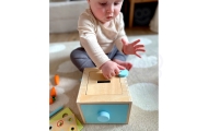 WOOPIE GREEN Wooden Educational Drawer 4-in-1 Montessori Sorter Carrot Game FSC